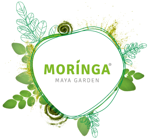 moringa maya garden logo